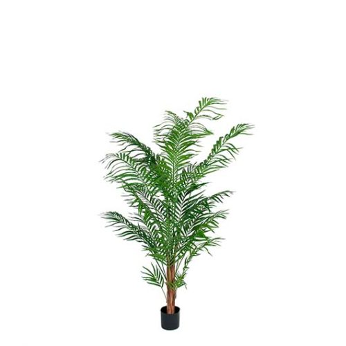 Konstväxt av Areca palm på 120cm från Mr Plant