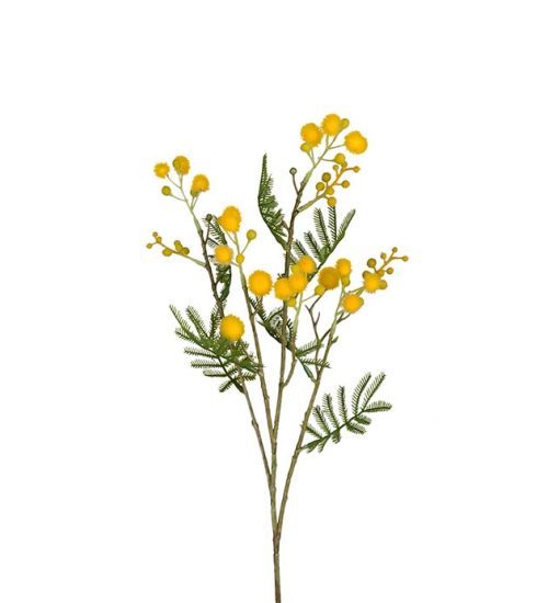 Konstväxt av mimosa i gul från Mr plant.