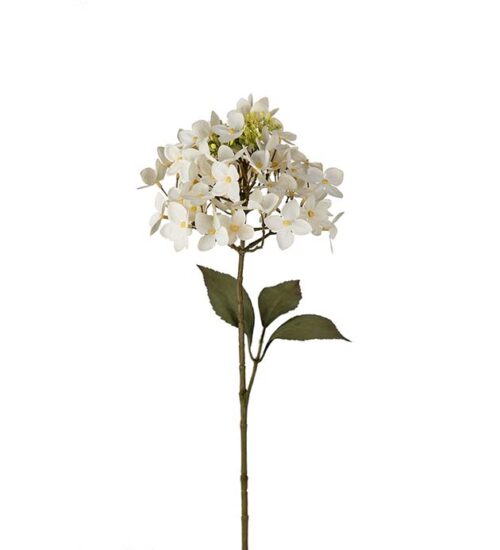 Konstväxt hortensia kvist creme
