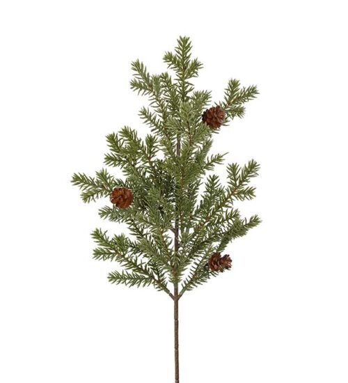 Konstväxt av en grankvist med kottar från Mr Plant.