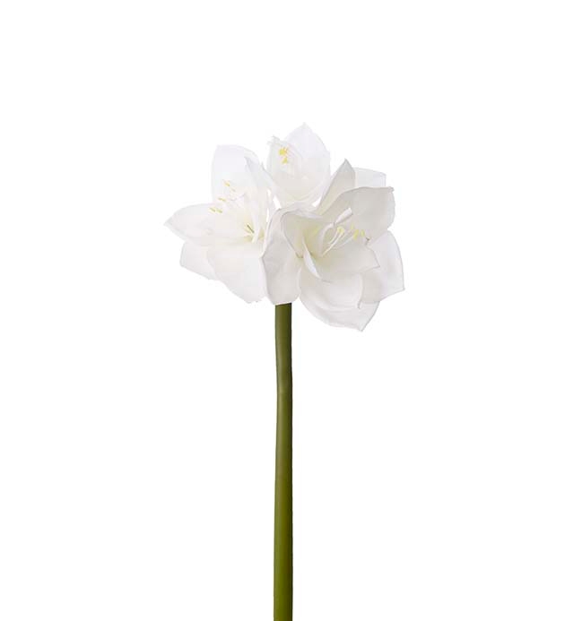 Konstväxt av en Amaryllis i vit på snitt från Mr Plant.