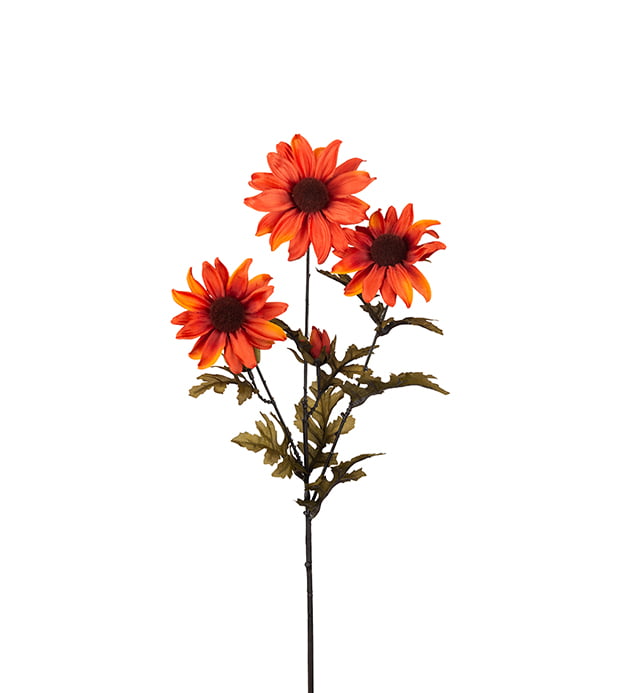 konstväxt rudbeckia